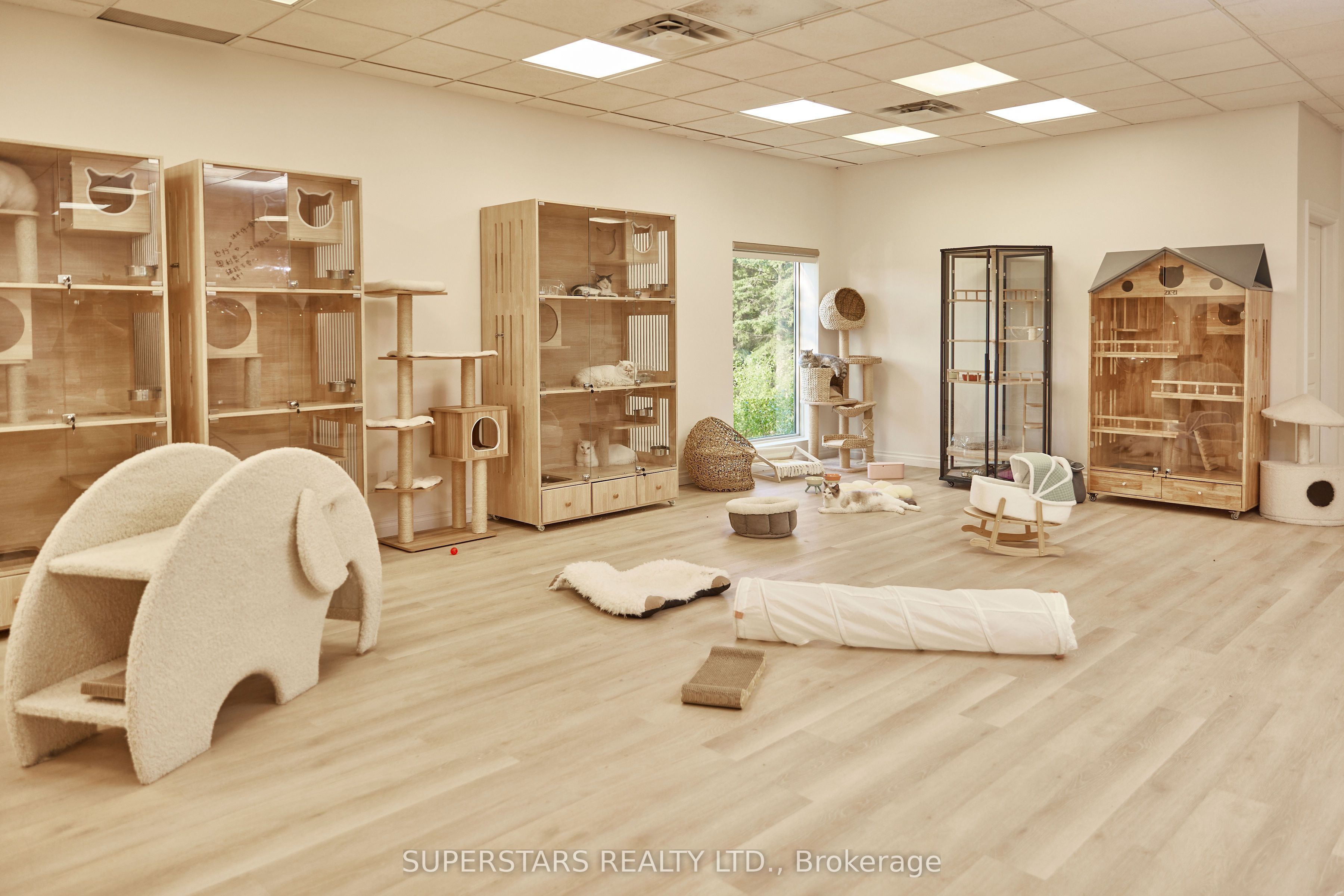 Business for Sale — 12285 Yonge St #1, Richmond Hill photo 1